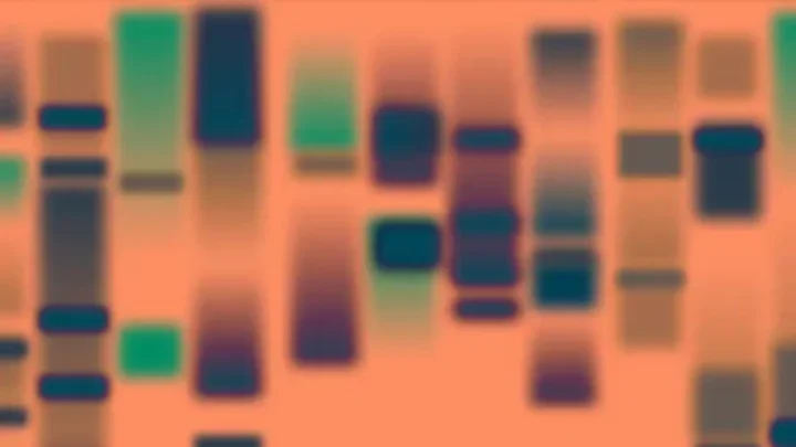 Columns of blue, green, and purple decorative artwork.