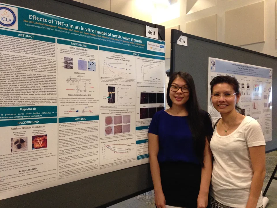 Dr. Tintut and female lab member stands in front of their poster at the UCLA DOM Research Day.