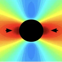 Computational modeling of calcified deposits 